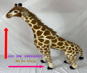 Plush Giraffe Stuffed animal Safari rental alquiler photo shoot Rental party fiesta birthdays bachelors alquiler evento actividad