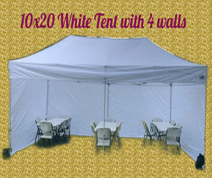 10x20 Tents rental carpas alquiler fiesta party